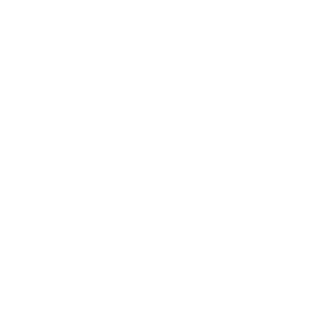 Sina Saeedi